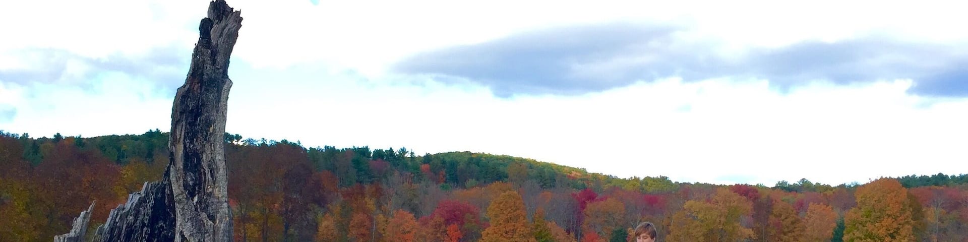 Great spot for hiking, picnicking and camping. Lots of great trails in the woods and through the fields. Dog friendly.