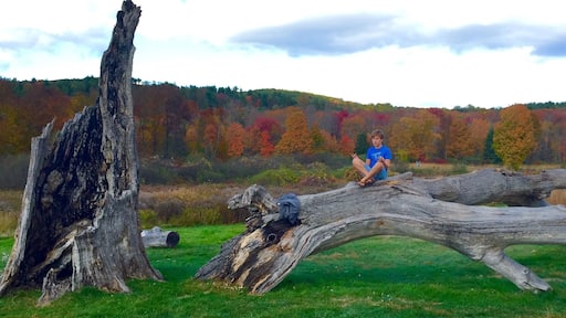 Great spot for hiking, picnicking and camping. Lots of great trails in the woods and through the fields. Dog friendly.