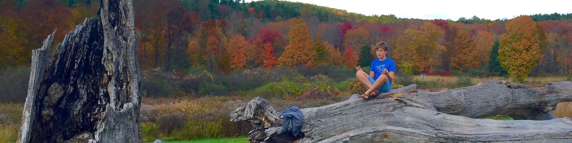 Great spot for hiking, picnicking and camping. Lots of great trails in the woods and through the fields. Dog friendly.