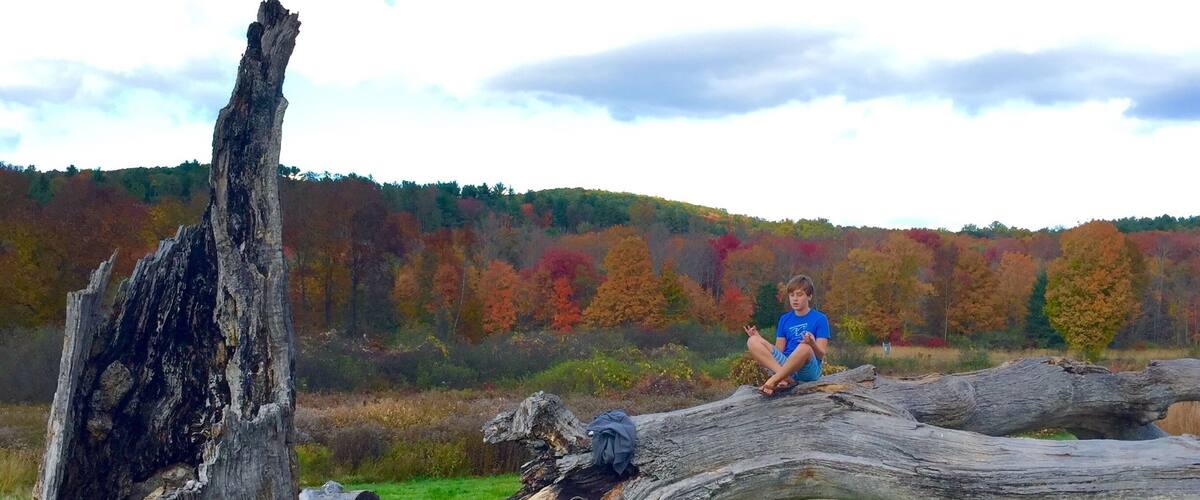 A person sitting on a large fallen tree in a grassy field with colorful autumn trees in the background.