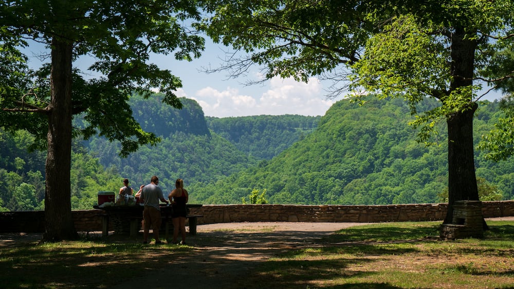 A group of people at a picnic table overlooking a lush green valley with a stone wall and trees.
