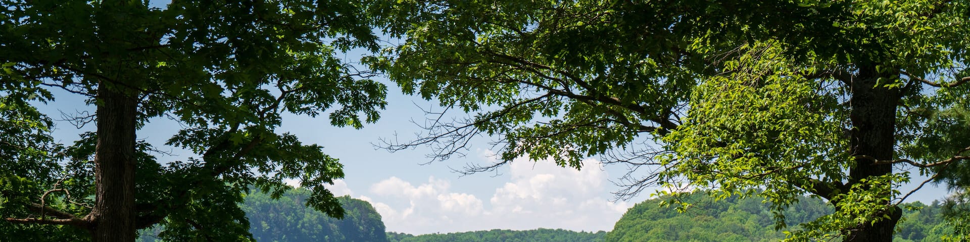 A group of people at a picnic table overlooking a lush green valley with a stone wall and trees.