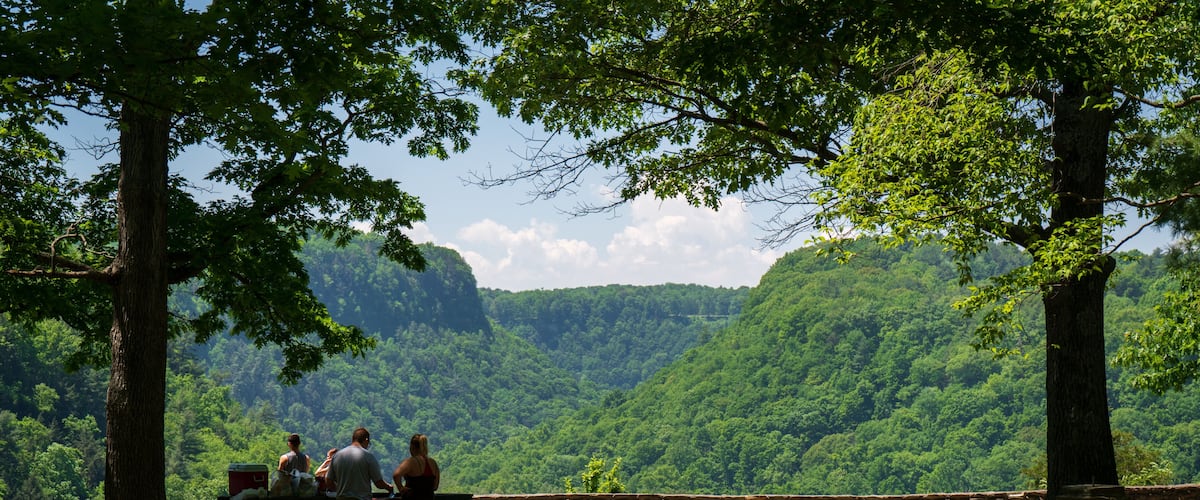 A group of people at a picnic table overlooking a lush green valley with a stone wall and trees.
