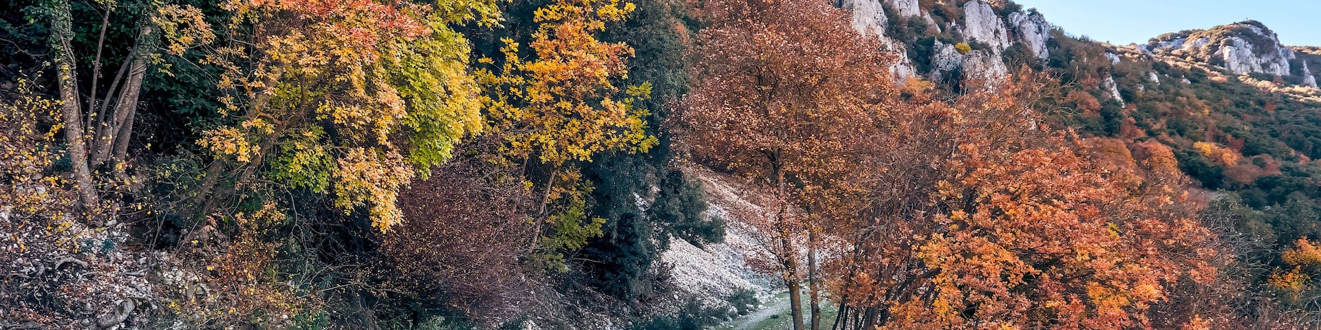 A mountainous landscape with autumn foliage, a rocky path, and a clear sky.