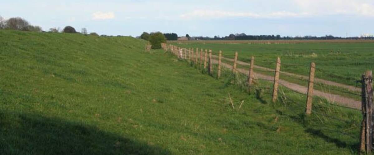 A grassy field with a wooden fence and a dirt path.