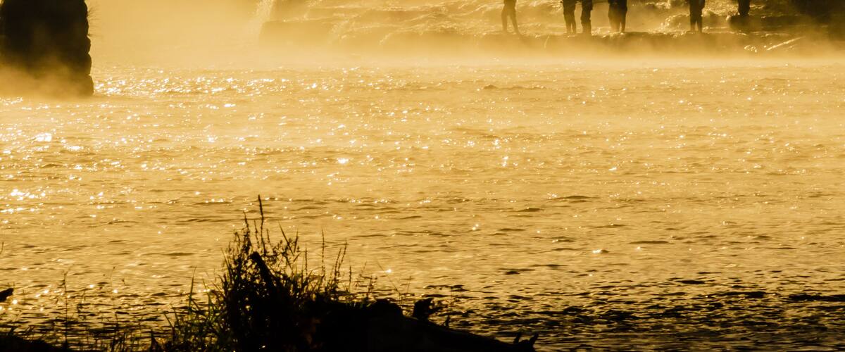 Misty Morning on the River