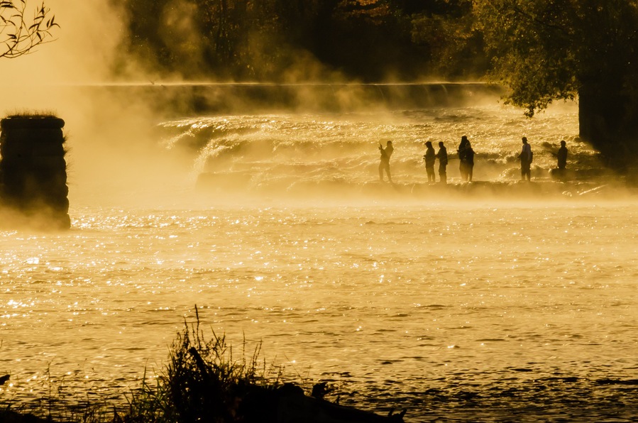 Misty Morning on the River