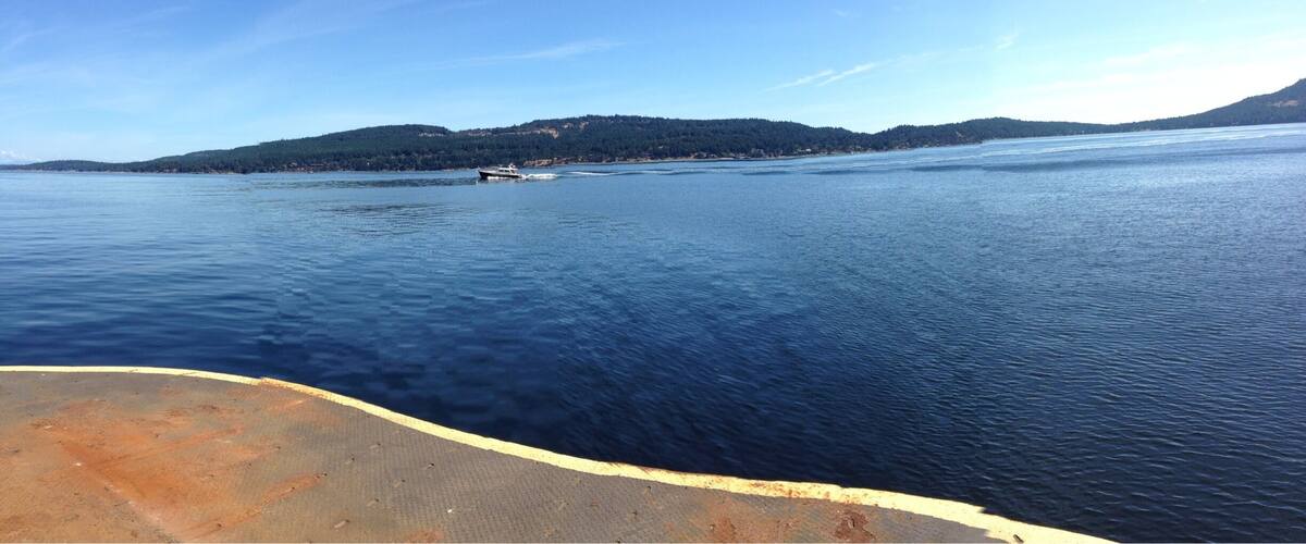 A calm body of water with a boat in the distance and a forested island in the background.