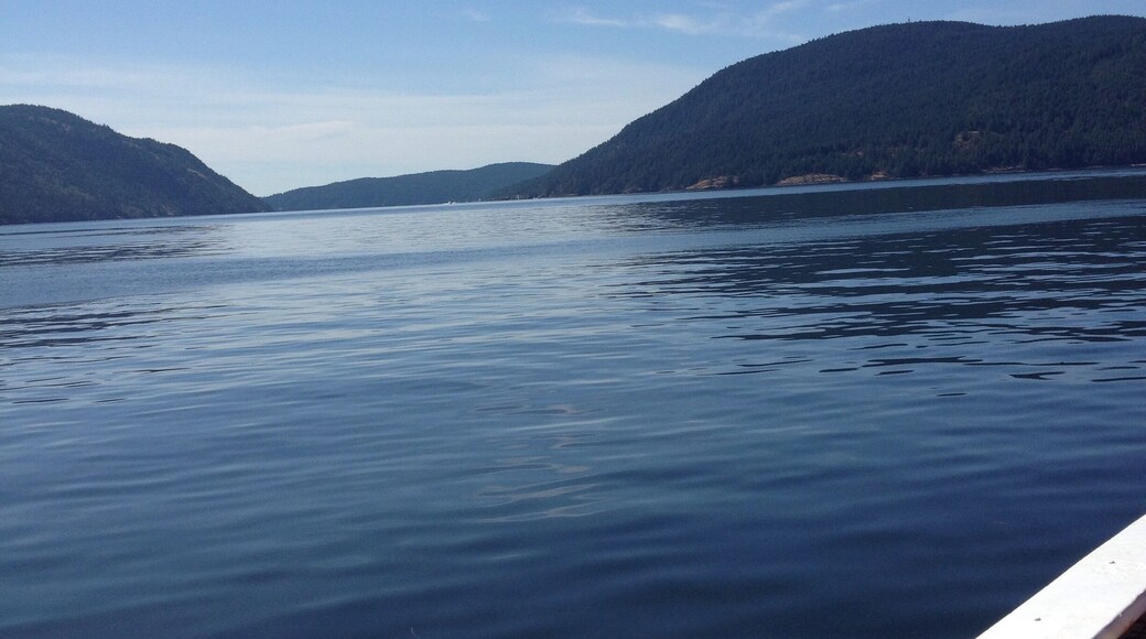 Ferry to Salt Spring island ,BC