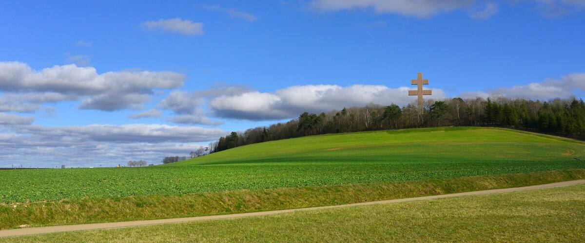 A green field with a cross-shaped structure in the distance.
