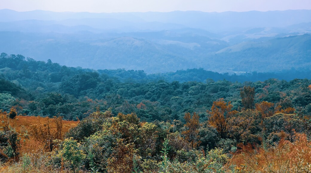 Tropical forest in Coorg district near Madikeri in South Indian state Karnataka, View from Mandalpatti hills.