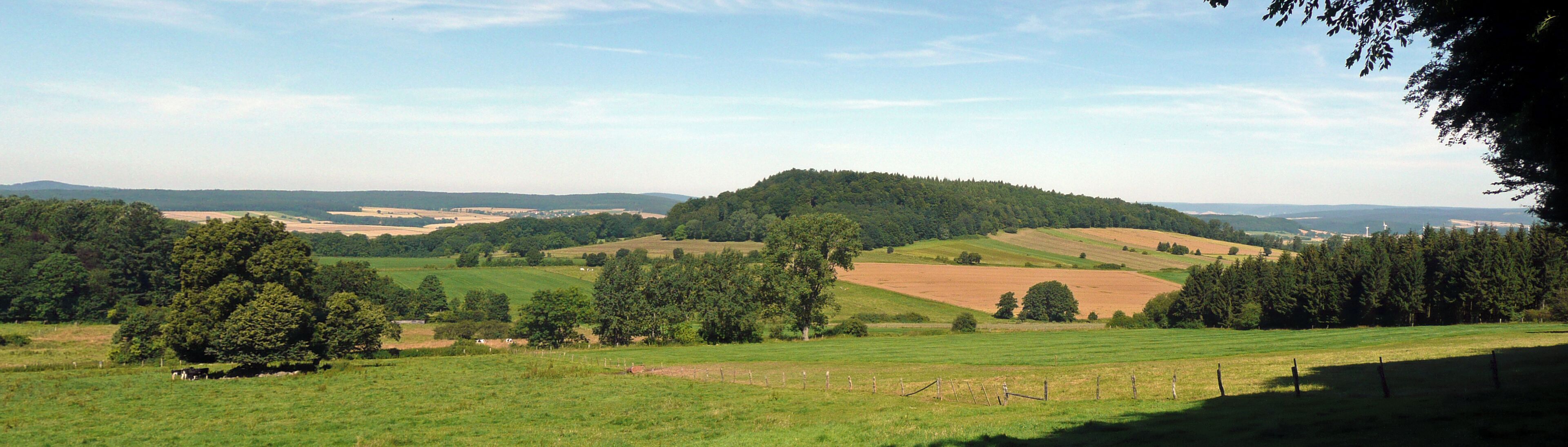 Rolling hills, a forested hill, and a distant city skyline.