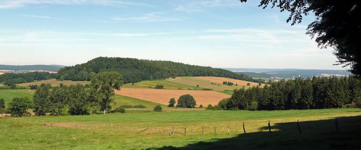 Rolling hills, a forested hill, and a distant city skyline.