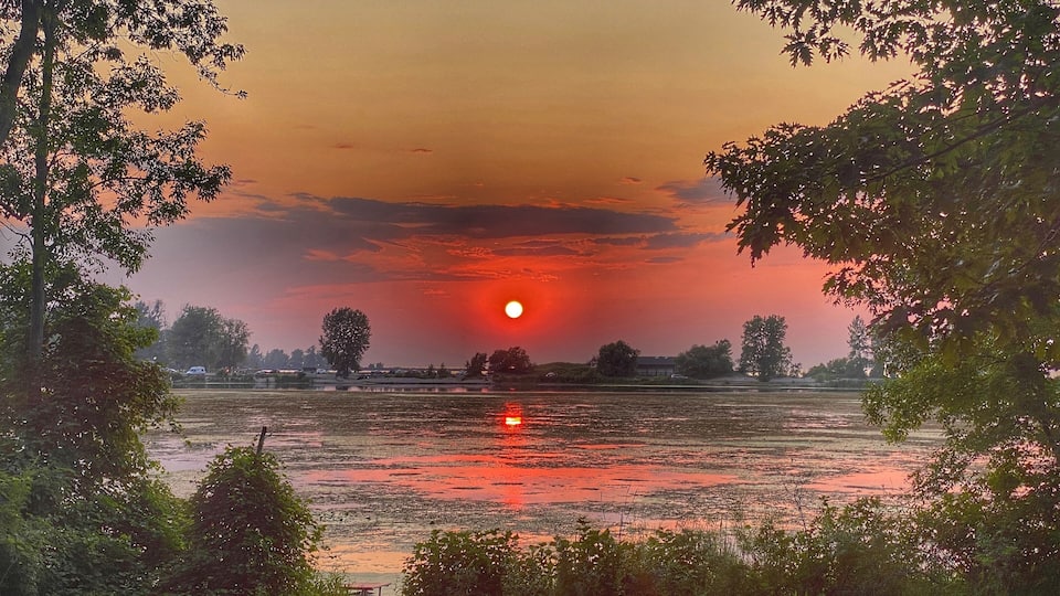 A sunset over a lake with trees on the shore.