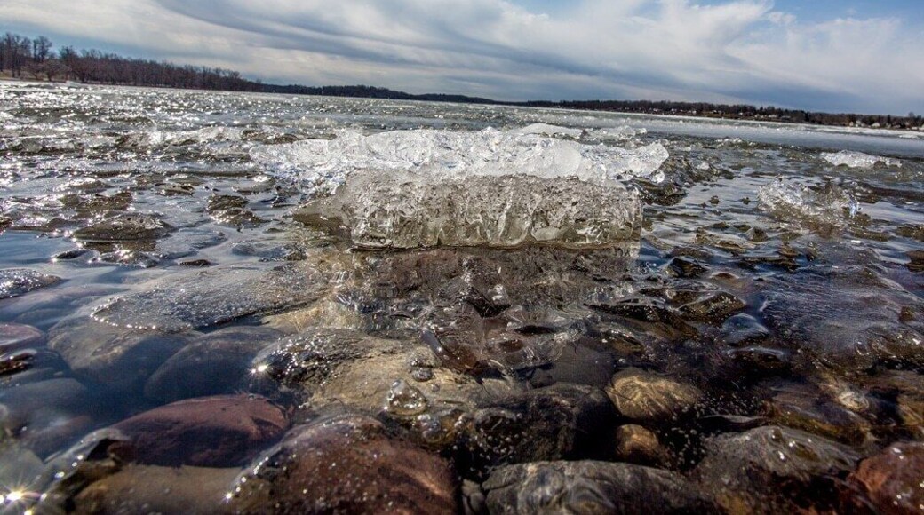 Spring and winter mix.