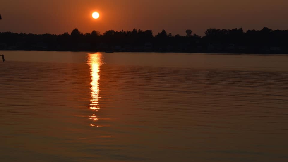 A sunset over a calm body of water with a silhouette of trees in the background.