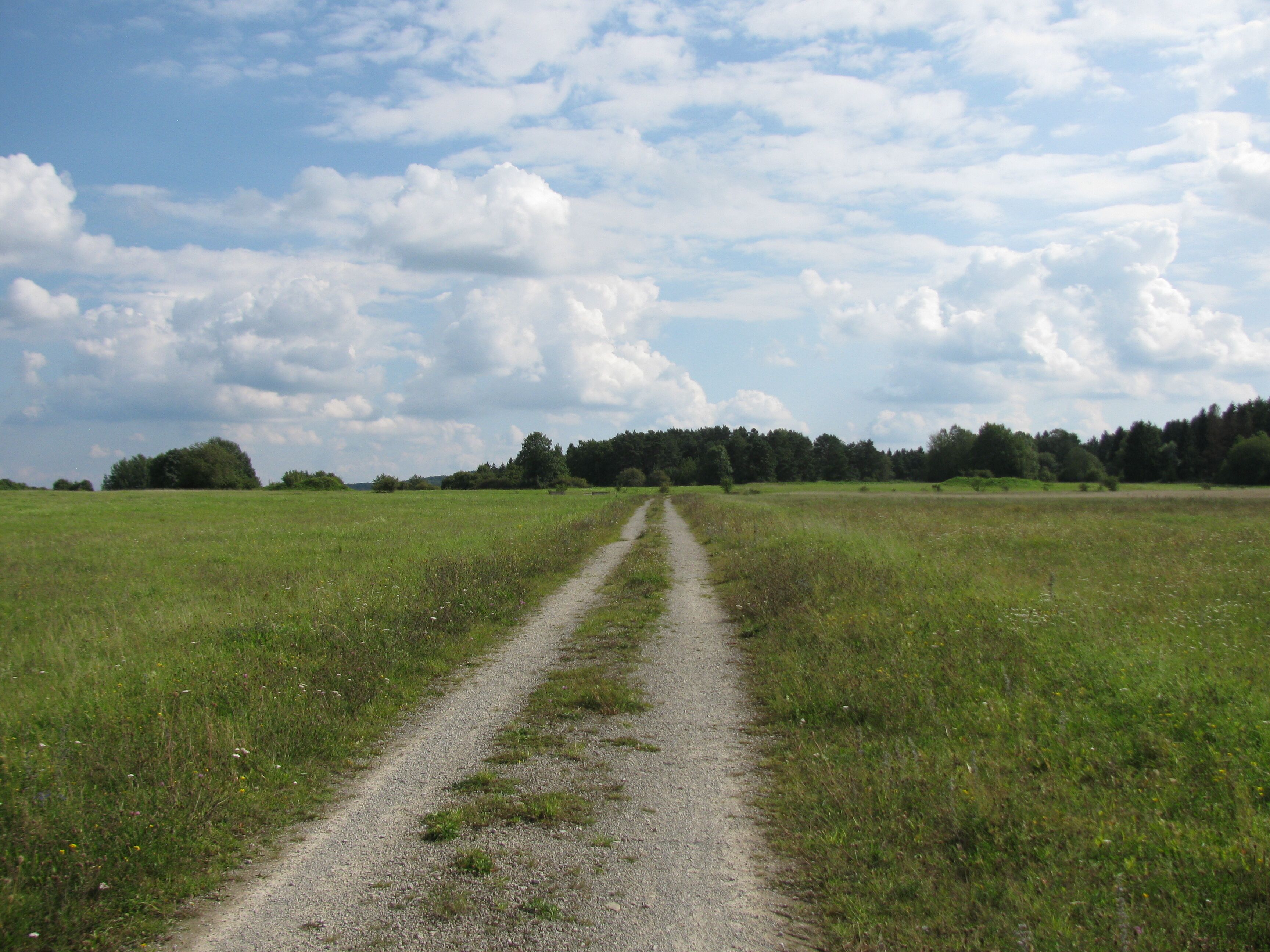 Blick auf den Wegestern im FFH-Gebiet Glimmerode und Hambach bei Hessisch Lichtenau