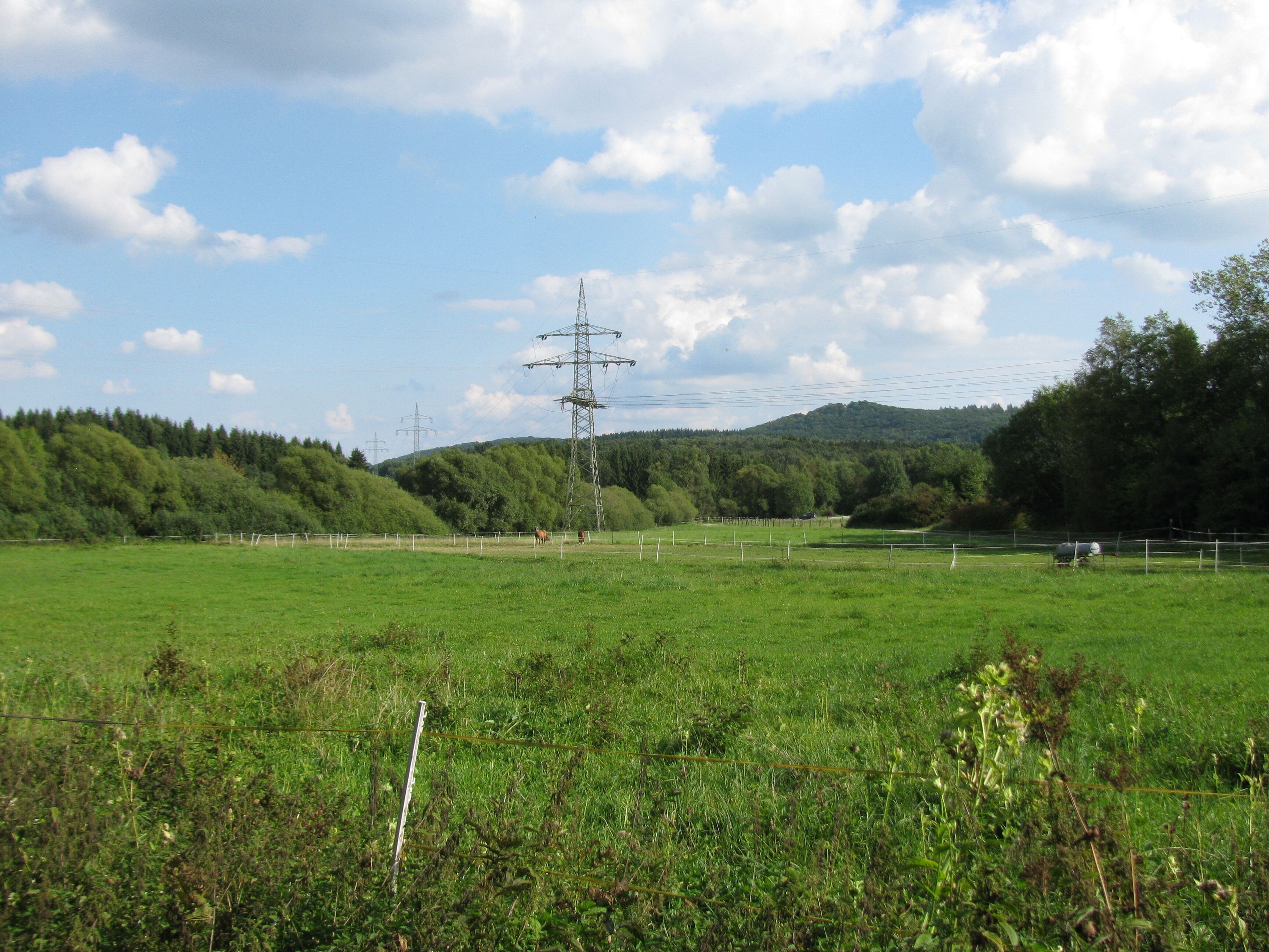 Blick in ein Seitental des Essebach in Richtung Glimmerode