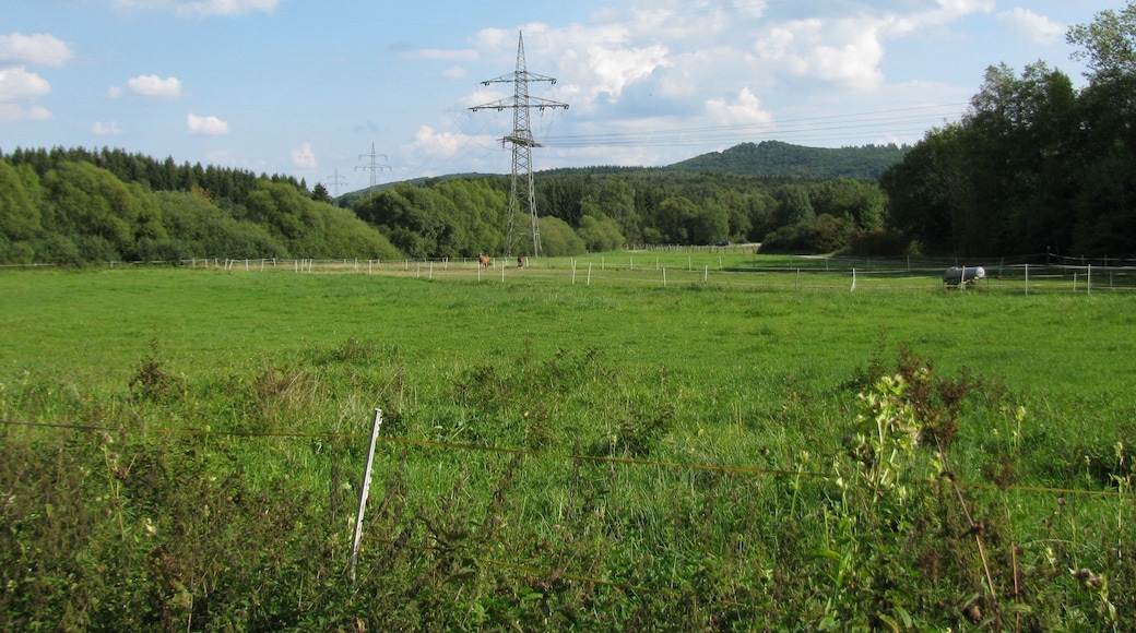 Blick in ein Seitental des Essebach in Richtung Glimmerode