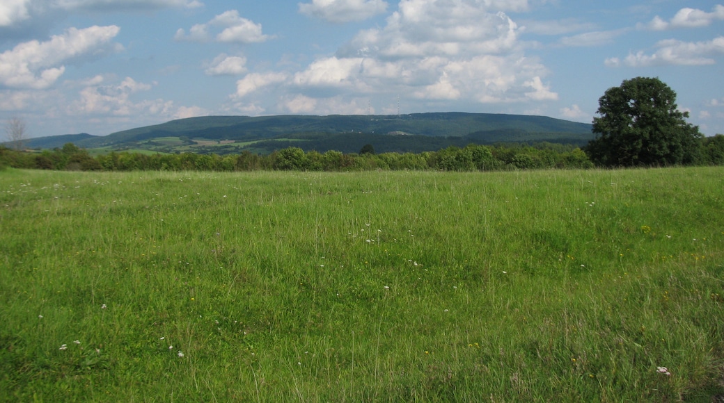 Blick vom Wegestern im FFH-Gebiet Glimmerode und Hambach bei Hessisch Lichtenau über den Sattel zwischen Walberg und Vogelsberg zum Hohen Meißner