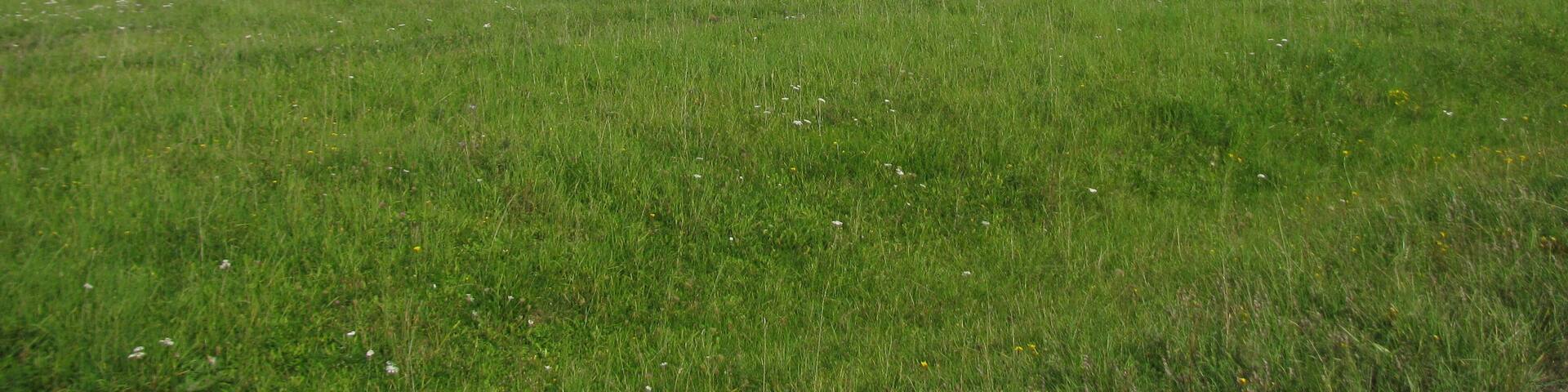 Blick vom Wegestern im FFH-Gebiet Glimmerode und Hambach bei Hessisch Lichtenau über den Sattel zwischen Walberg und Vogelsberg zum Hohen Meißner