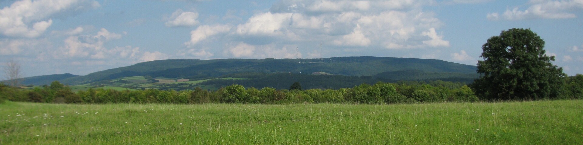 Blick vom Wegestern im FFH-Gebiet Glimmerode und Hambach bei Hessisch Lichtenau über den Sattel zwischen Walberg und Vogelsberg zum Hohen Meißner