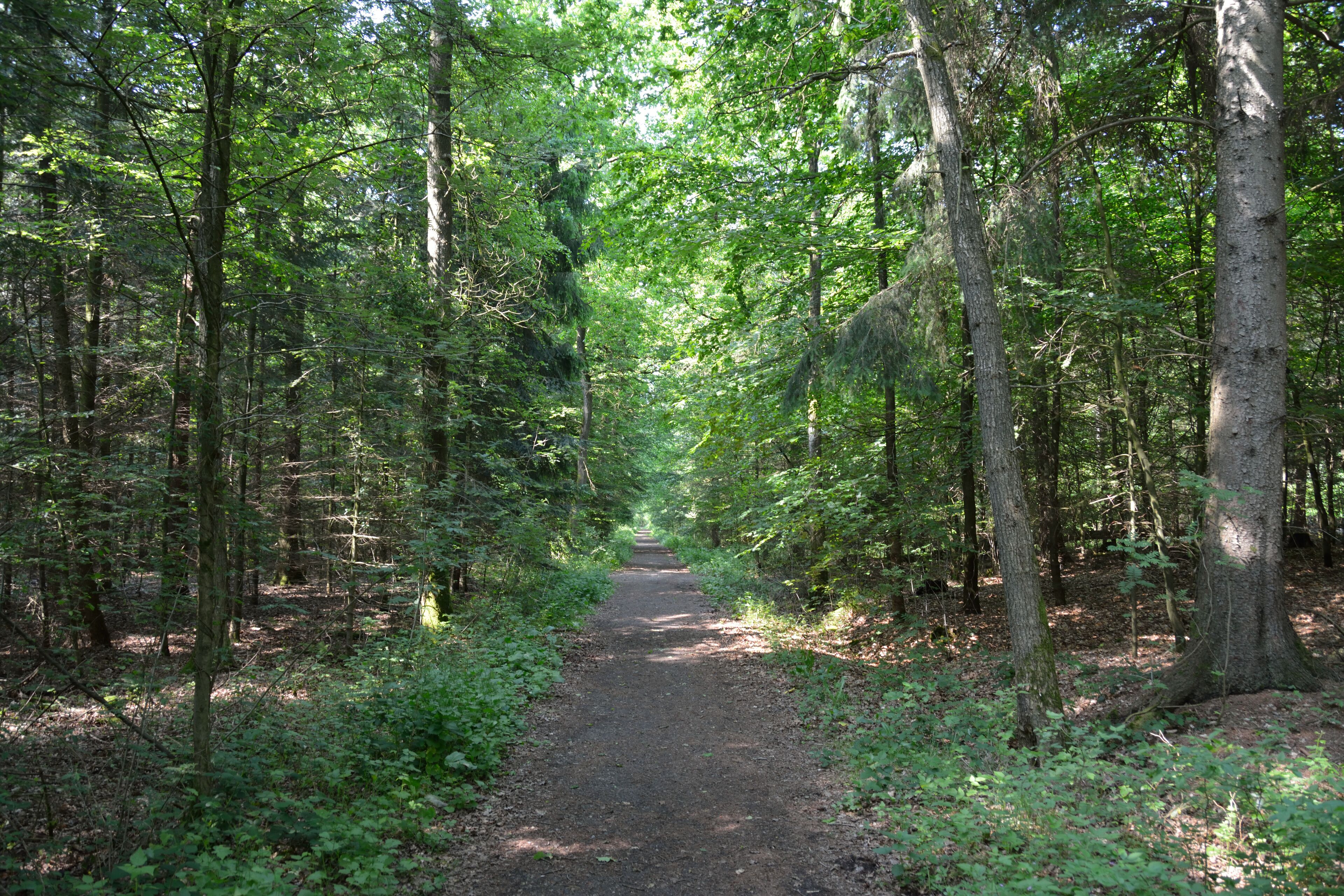 This is a picture of the protected area listed at WDPA under the ID