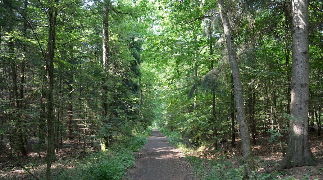 This is a picture of the protected area listed at WDPA under the ID