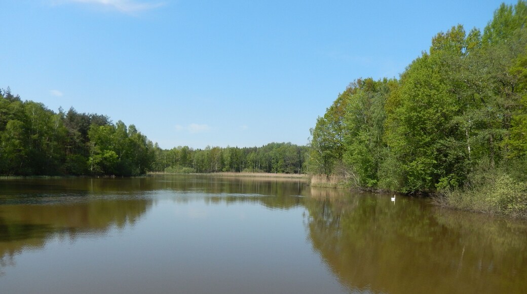 Moritzburg-Kleinkuppenlandschaft, Bauernsee. FHH-Gebiet: Moritzburg Wiesen und Wälder, Gebietsnummer 4847-302. Landschaftsschutzgebiet. Friedewald, Moritzburger Teichlandschaft und Lößnitz: Code 320894