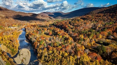 Foliage colors aerial view at Catskills Woodstock in New York