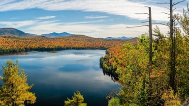 Silver Lake Bog preserve - Autumn view of Silver Lake from the bluffs - Adirondack Mountains new York