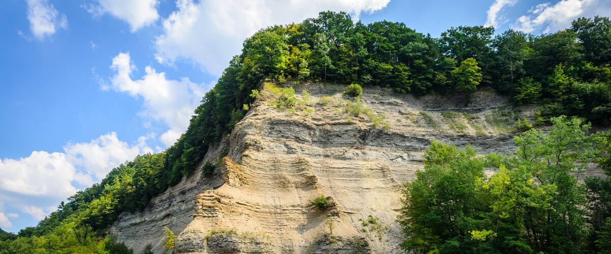 A river flowing through a canyon with steep cliffs and dense green foliage.