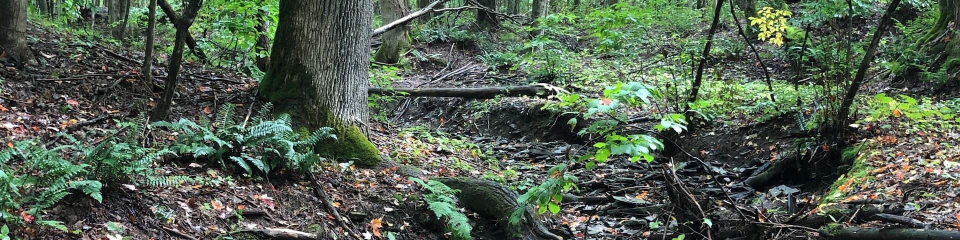 September in Western New York #adventure