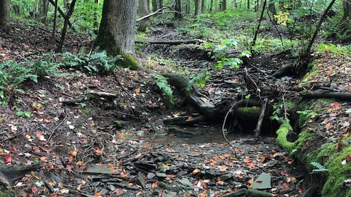 September in Western New York #adventure