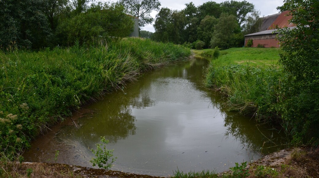 Die Große Räthe auf Krautsand