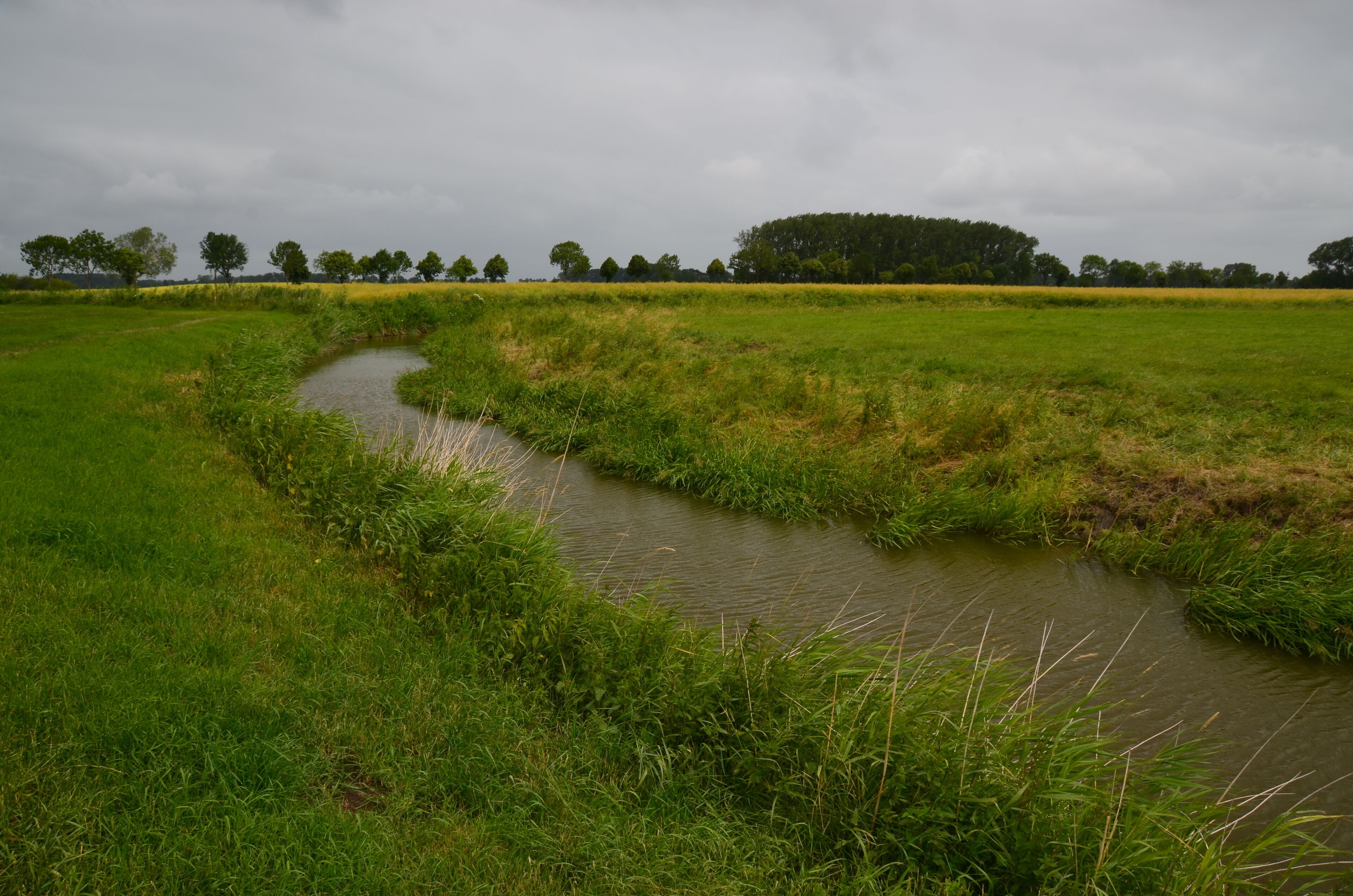 Unterlauf der Großen Räthe auf Krautsand