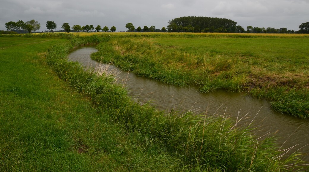 Unterlauf der Großen Räthe auf Krautsand
