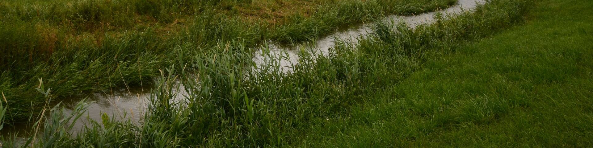 Unterlauf der Großen Räthe auf Krautsand