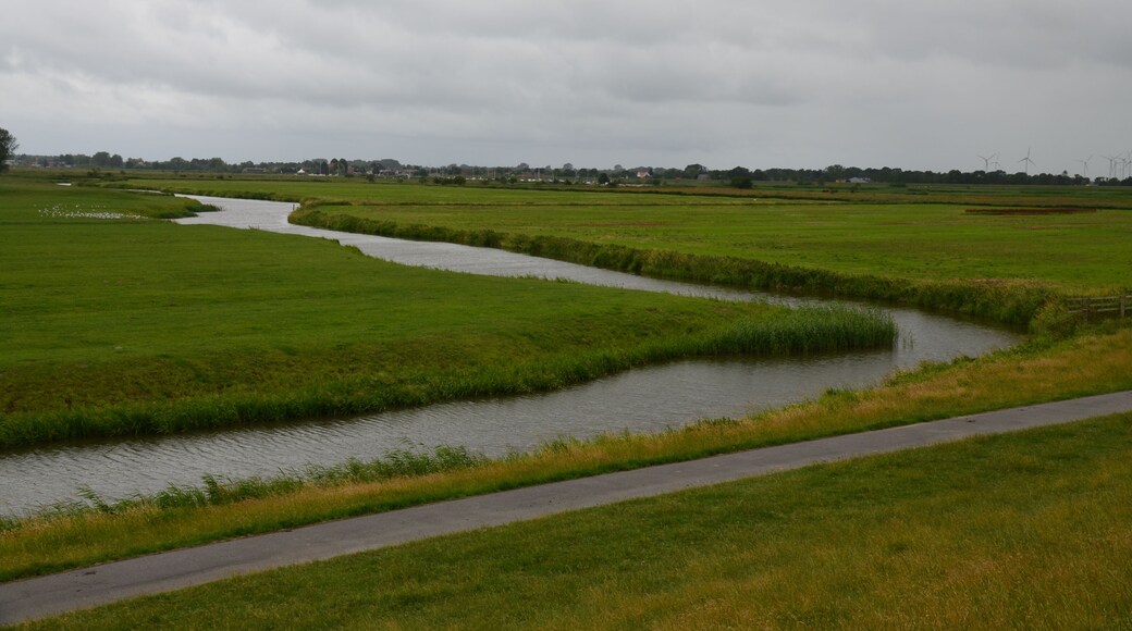 Der Königspriel auf dem Wischhafener Sand vom Elbdeich aus gesehen