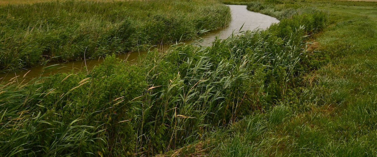MĂŒndungslauf der GroĂen RĂ€the in die Krautsander Binnenelbe auf Krautsand