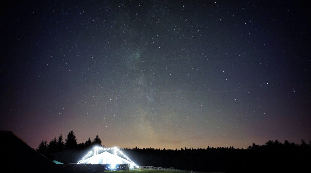 A million? A billion? Who knows..