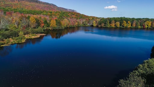 Shandaken