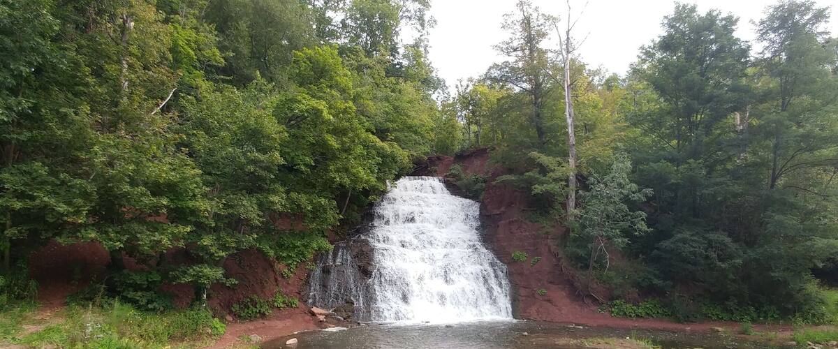 A waterfall cascading into a pond surrounded by dense forest.