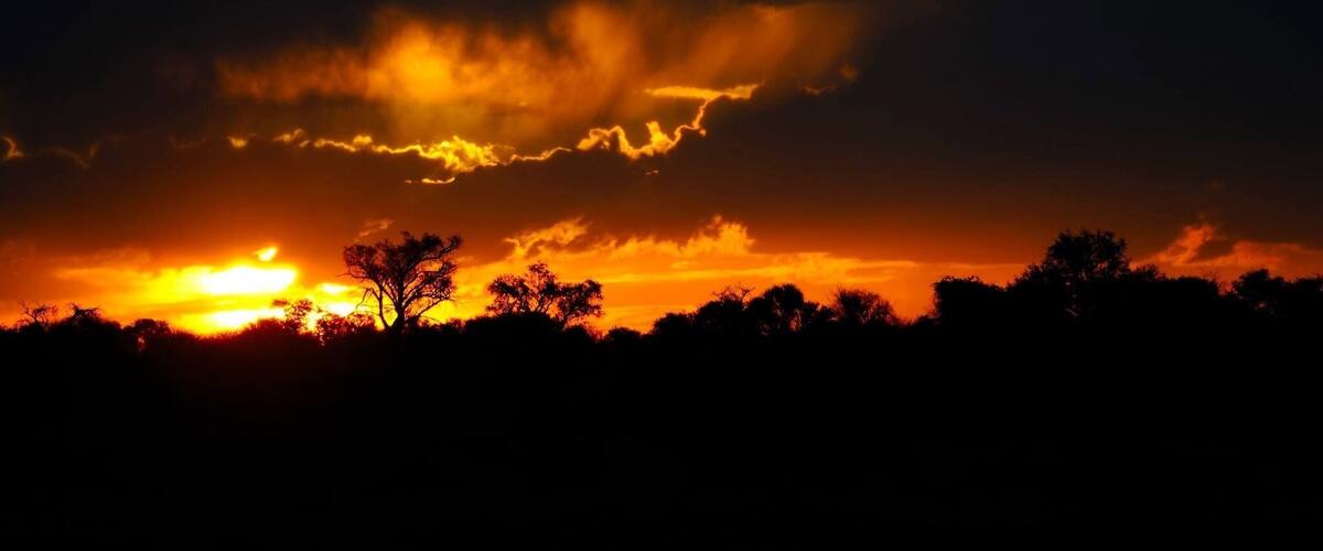 A sunset with orange clouds and silhouettes of trees.