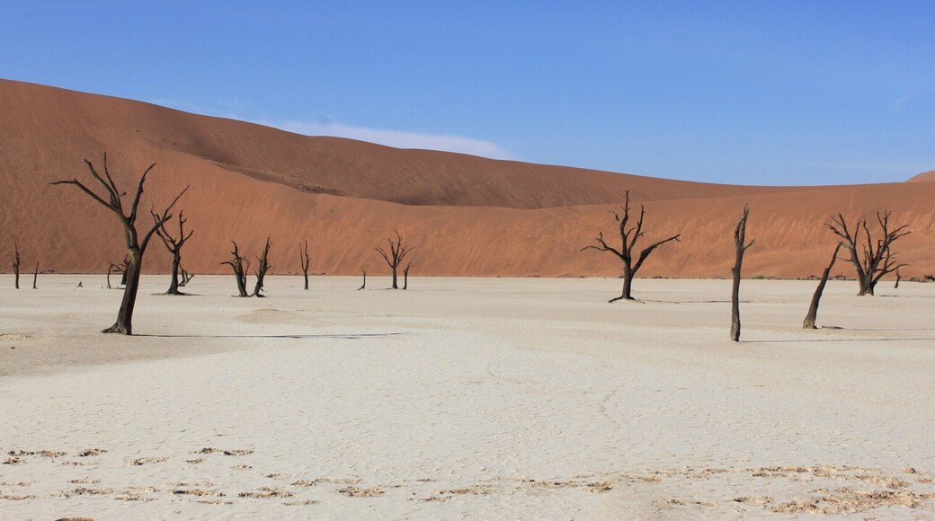 Early morning exploring Dead Vlei in Namib-Naukluft National Park. 500+ year old tree skeletons on a large salt pan. #Blue