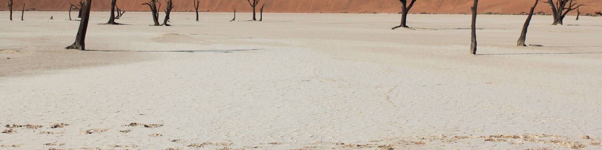Early morning exploring Dead Vlei in Namib-Naukluft National Park. 500+ year old tree skeletons on a large salt pan. #Blue