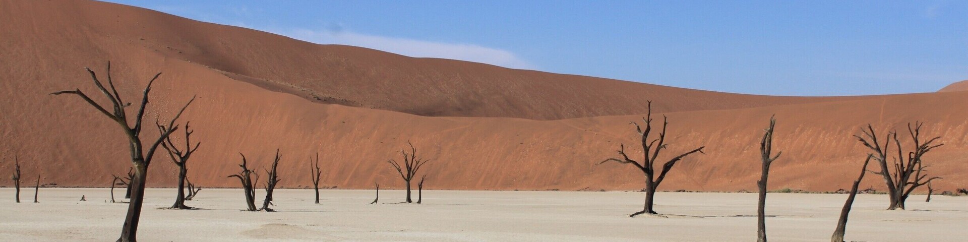 Early morning exploring Dead Vlei in Namib-Naukluft National Park. 500+ year old tree skeletons on a large salt pan. #Blue