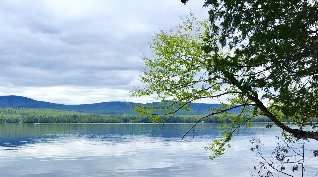 A scenic spot on my hike. #TakeaHike