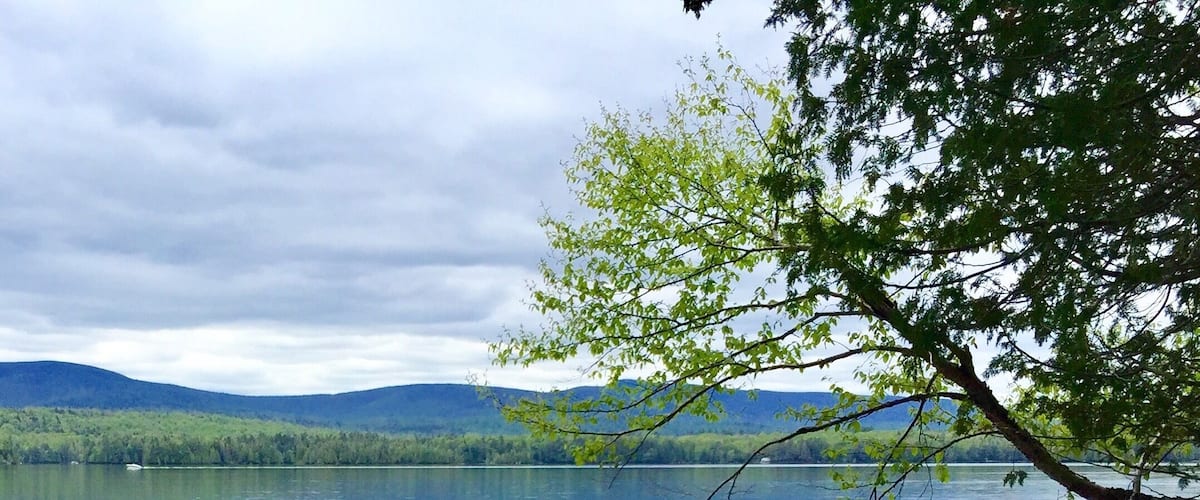 A scenic spot on my hike. #TakeaHike