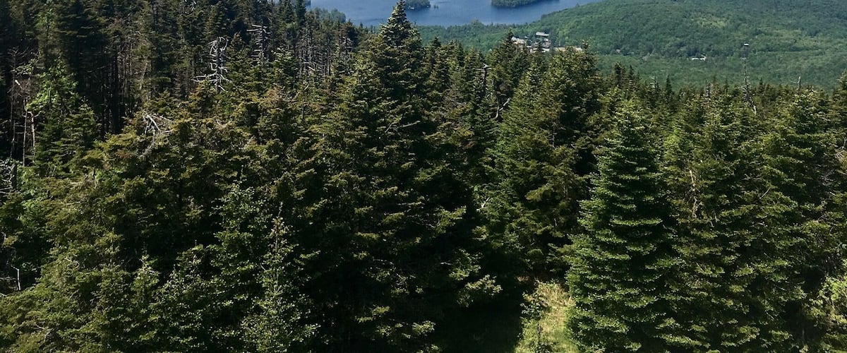 #firetower views